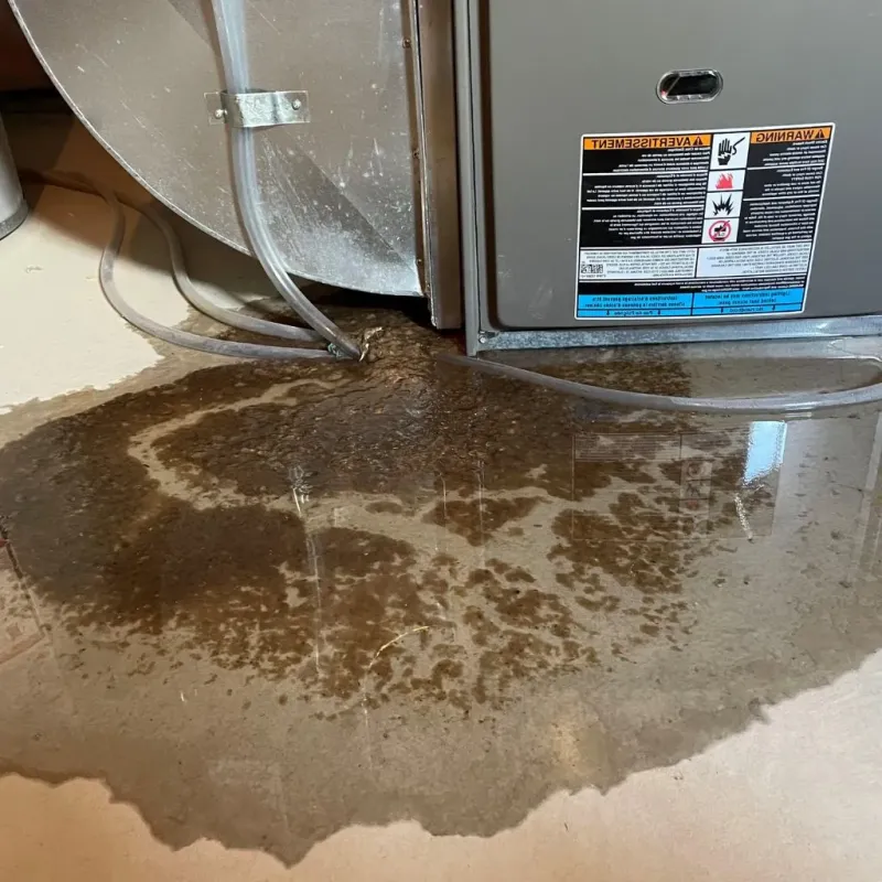 Pipe Burst and Leak Restoration in Vandalia, OH