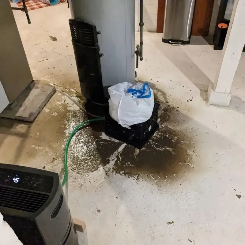 Sewage Backup Cleanup Service in Vandalia, OH